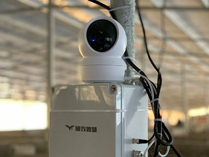 YenGear IoT smart pig farm environmental monitoring with LoRa and Ethernet DTUs