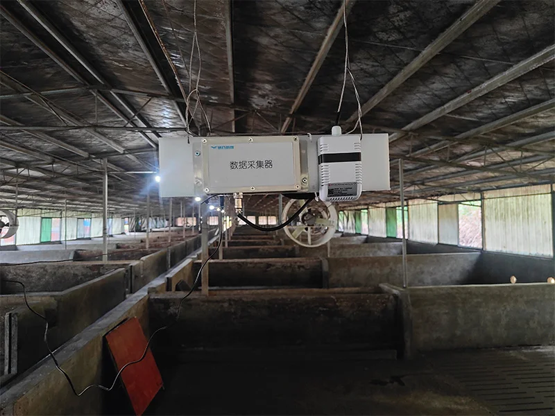 YenGear IoT smart pig farm solution with LoRa and Ethernet DTUs monitoring temperature, ammonia, and dust