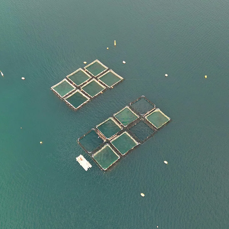 海水养殖