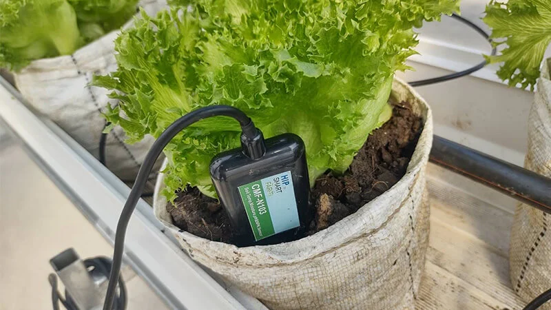 YenGear IoT smart agriculture environmental monitoring solution with industrial data logger and sensor integration